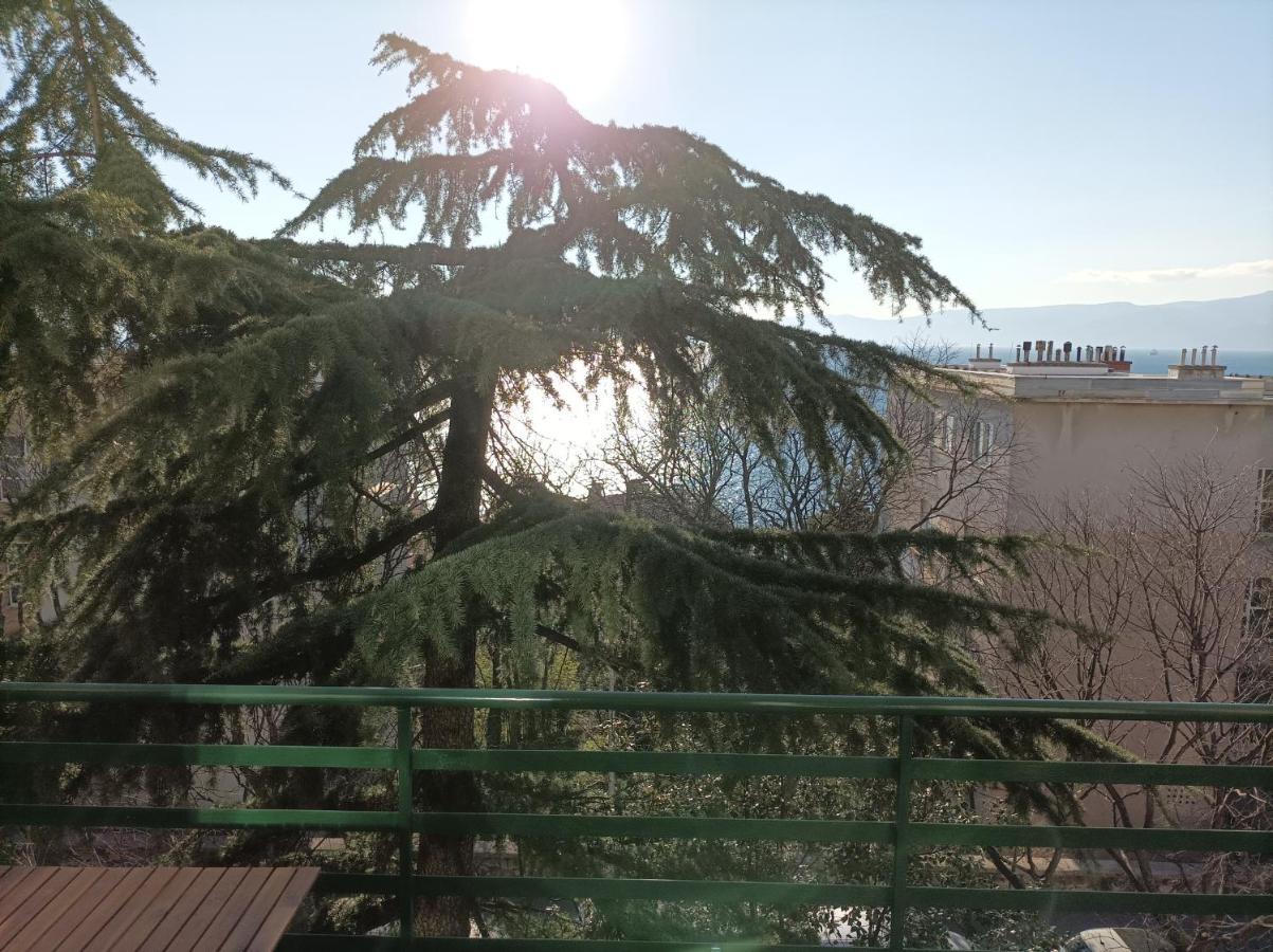 Apartman Pecine Rijeka Exteriér fotografie